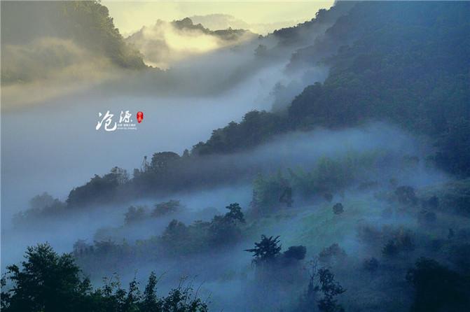 洋葱酱的做法最正宗的做法？